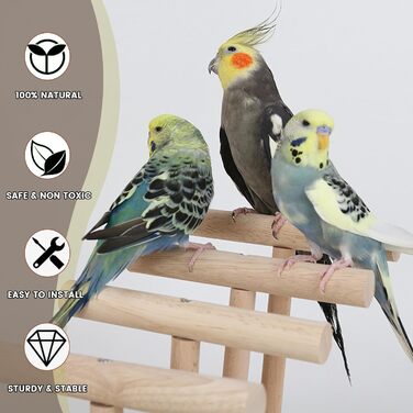 Ігровий майданчик для птахів з годівницею, іграшковою драбинкою, гойдалкою та лотком для папуг папуг, дерево, розмір 45x37x26 см A (Wood 009)