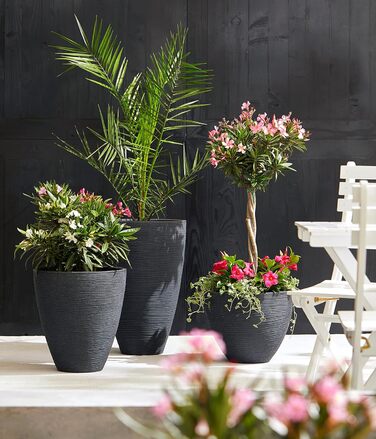 Ваза для квітів Dehner Vino | Горщик для квітів, кашпо | для кімнатних та садових рослин | сучасний, круглий, стійкий, міцний | рифлена поверхня | для використання в приміщенні та на вулиці | пластик | антрацит | Ø 40 см, висота 60 см (31 см висота)