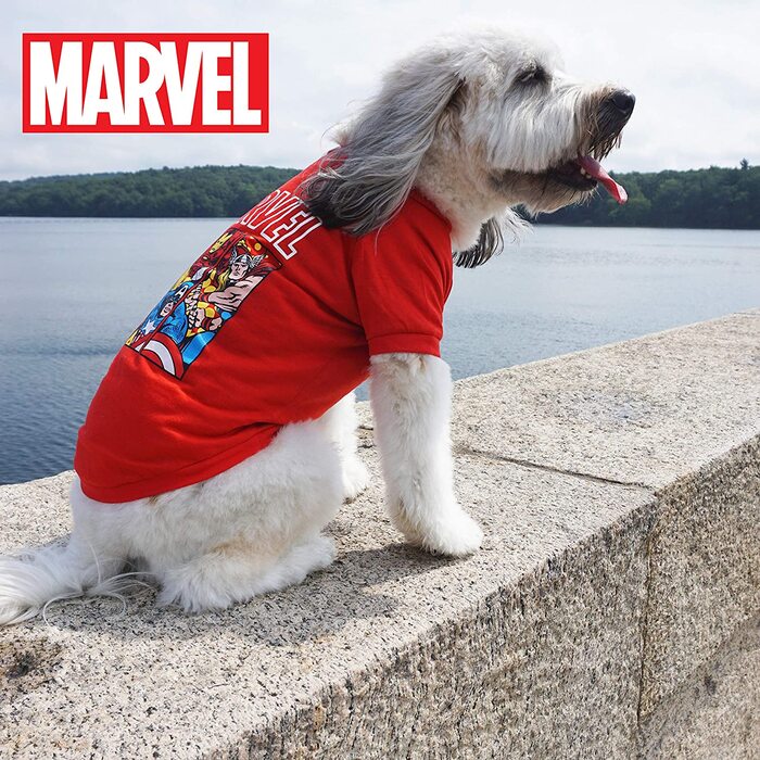 Шлейка для собак Marvel Comics for Dogs, маленька Шлейка для собак Avengers Infinity War (середня, Людина-павук)