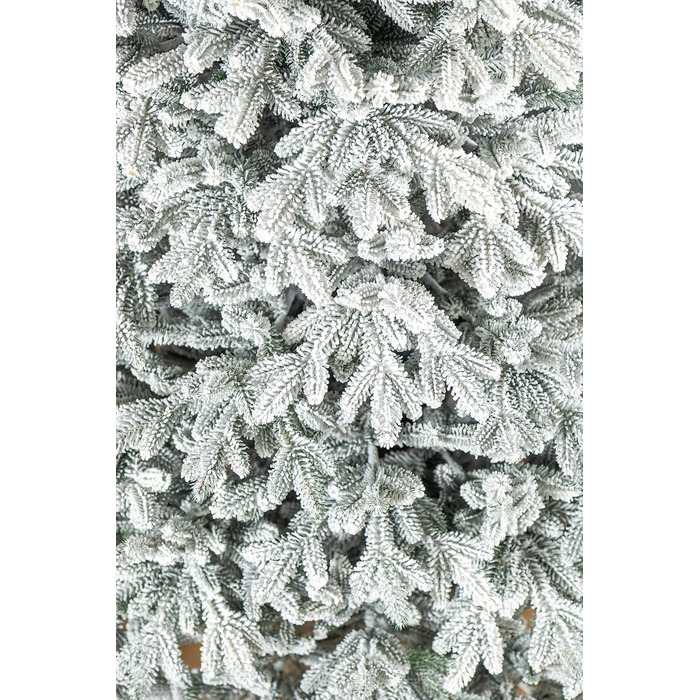 Ялинка лита 'Альпійська' ЗАСНІЖЕНА 2,30м