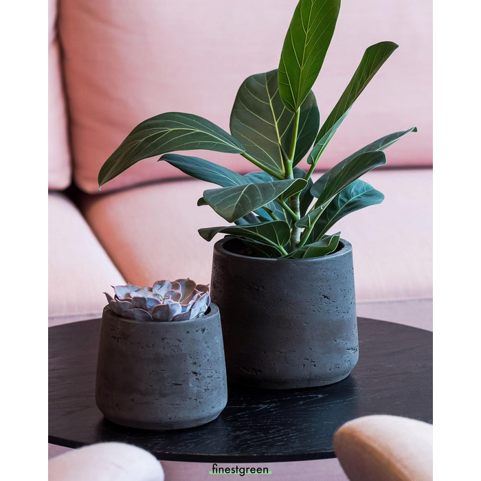 Вазон Patt Pflanzgefäß Grau L: сірий, бетонна текстура, для дому та саду, морозостійкий, UV-стійкий, водонепроникний (16.5x13.2x14 см)