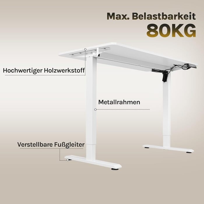 Електричний регульований стіл WOLTU, 120x60 см, білий. З USB-портом, функцією пам'яті, для офісу та дому. Ергономічний стіл для роботи за комп'ютером