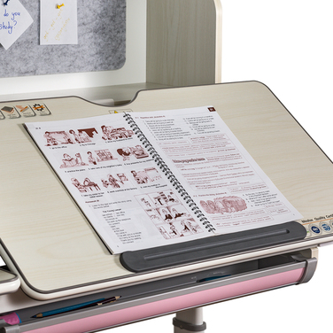 Дитячий стіл Mealux Winnipeg Multicolor MG + PN (арт.BD-630 MG + PN Multicolor)