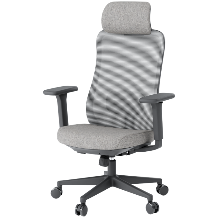 Крісло офісне OfficePro Wave OC599-B-DG-DG