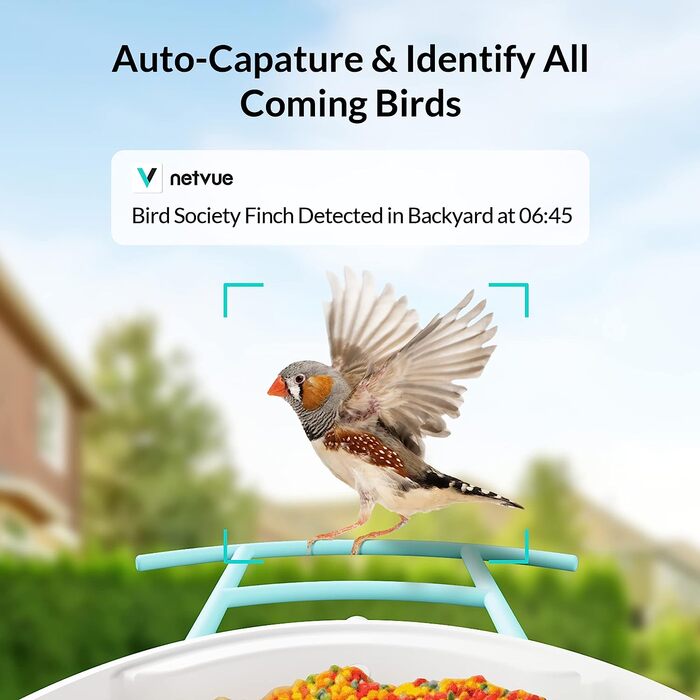 Годівниця для птахів NETVUE, камера для шпаківень, годівниці для диких птахів, годівниця для птахів з камерою для автоматичного запису відео, камера для шпаківень зі штучним інтелектом для виявлення видів птахів (Birdfy Solar)
