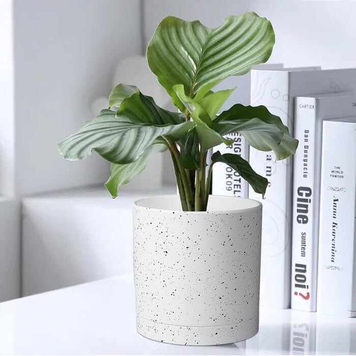 5 шт. Набір горщиків для квітів з підставкою, 17.8/15.2/14/12.7/10.2 см, пластикові горщики для рослин, гідропоніка, набір горщиків для квітів, ідеально підходить для внутрішніх та балконних садів, зелений з коричневим піддоном (7+6+5.5+5+4 дюйми (5 шт), білий спрей)