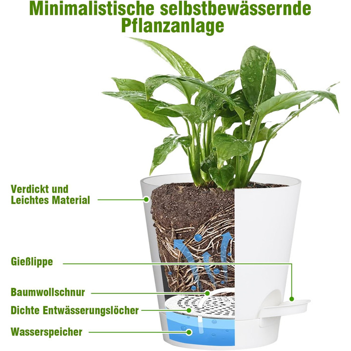 Набір горщиків для квітів Blumentopf 6 шт. з автополивом, чорний/білий, різні розміри (20.3-12.7 см), для дому та балкону