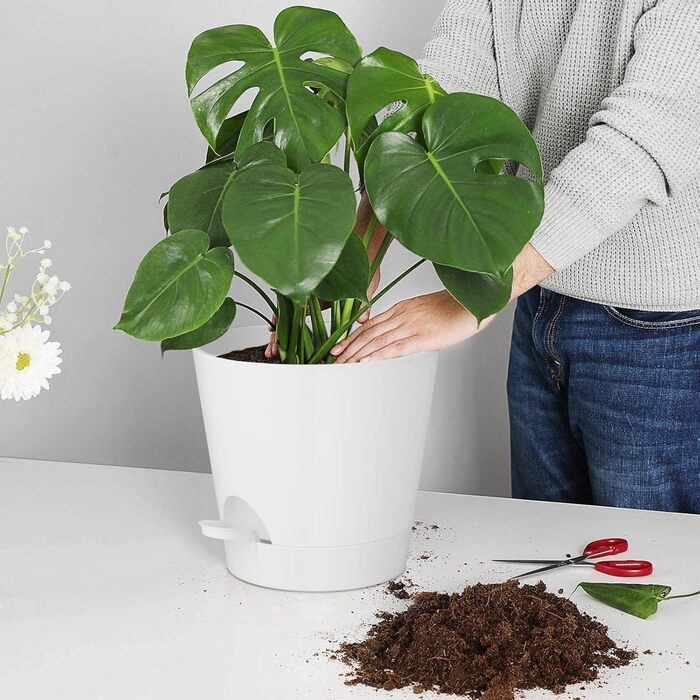 Набір горщиків для квітів 2 шт. 25.4 см та 20.3 см, пластик, з системою поливу, для дому, балкону, саду, сукулентів, кактусів (зелений, білий)