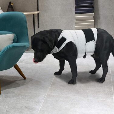 Зручна собача шуба каттамао для зняття занепокоєння, заспокійливий жилет, сорочка Доннер, куртка для собак S, M, L, XL (X-Large (1 комплект), світло-сірого кольору)