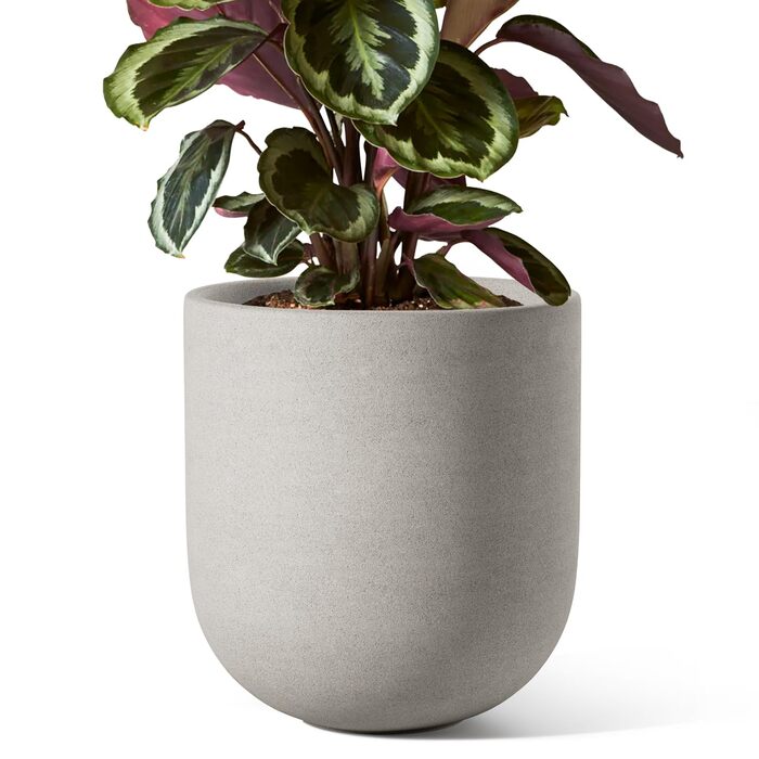 Керамічні горщики для квітів LE TAUCI, 20 см (сірий) з дренажним отвором