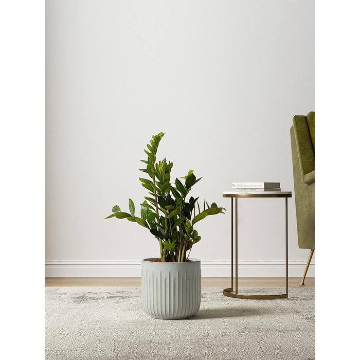 Набір горщиків для квітів LE TAUCI, 3 шт., кераміка, 21+17+14 см