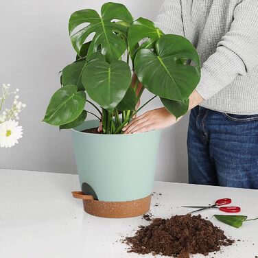 Набір горщиків для квітів 2 шт. 25.4 см, пластикові горщики з системою поливу, сучасний дизайн для дому, балкону, саду, сукулентів, кактусів (зелений) (зелений, коричневий, 20.3 см)