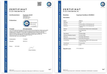 Ergotopia NextBack: ергономічне крісло для офісу з підтримкою спини | Крісло для роботи з підголівником та підлокітниками | 5 років гарантії (сірий/білий)