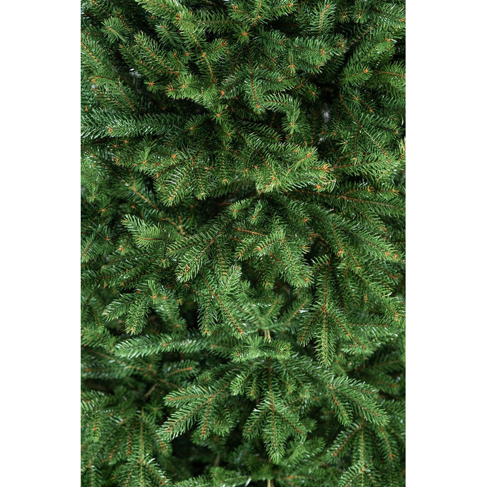 Ялинка лита 'Альпійська' ПАРАСОЛЬКА ЗЕЛЕНА 2,50м