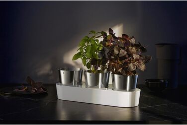 Набір горщиків для трав WMF Gourmet з системою поливу, 3 шт., для кухні, 36x12,5x12,5 см, білий, для свіжих трав