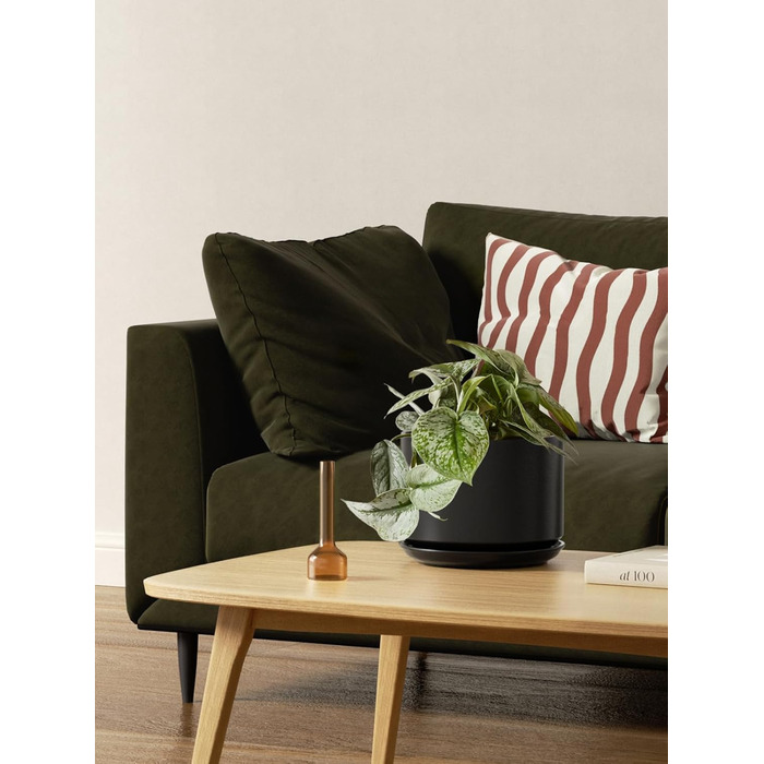 Набір горщиків для квітів LE TAUCI 3шт, кераміка, 11/13/17 см, з підставками та дренажними отворами, реактивна глазур, бежевий (чорний)