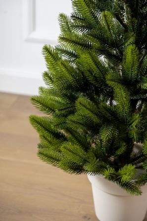 Ялинка лита 'Лапландська' в горщику ВЕСНЯНА 0,90м