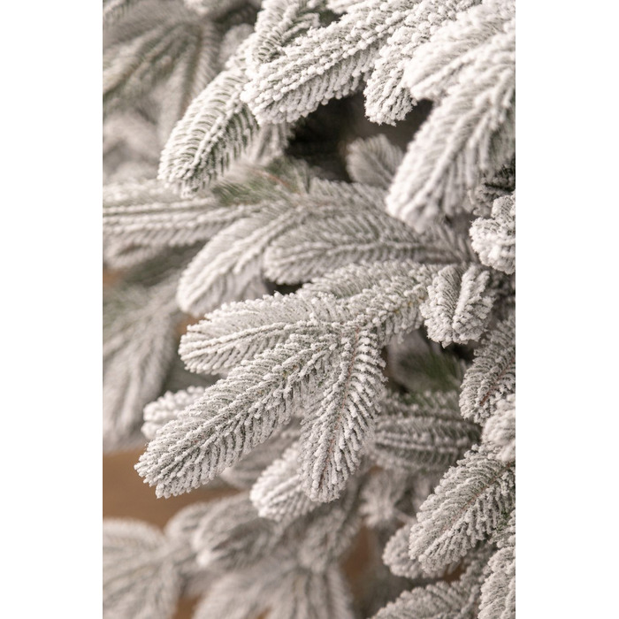 Ялинка лита 'Лапландська' ЗАСНІЖЕНА 2,50м