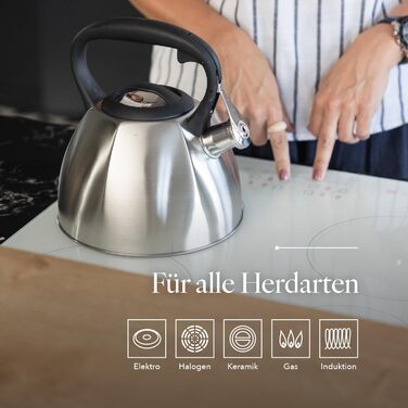 Чайник FLORINA Fenny Satin Induktion 2.5L з флейтою, нержавіюча сталь, Cool-Touch, сучасний дизайн, срібний (Dakota)