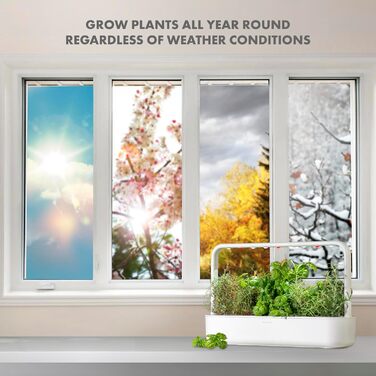 Click and Grow Indoor Garten: Розумний сад для вирощування зелені вдома з LED, 9 капсул (білий)