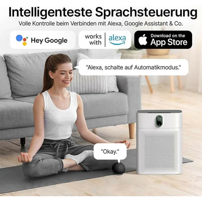 Розумний очищувач повітря Oryzom Smart Luftreiniger V1 Pro з HEPA-фільтром та датчиком PM2.5, керування через додаток та голосовий помічник (білий)