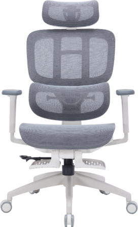 Крісло офісне OfficePro Skyline OC750-W-DG-DG