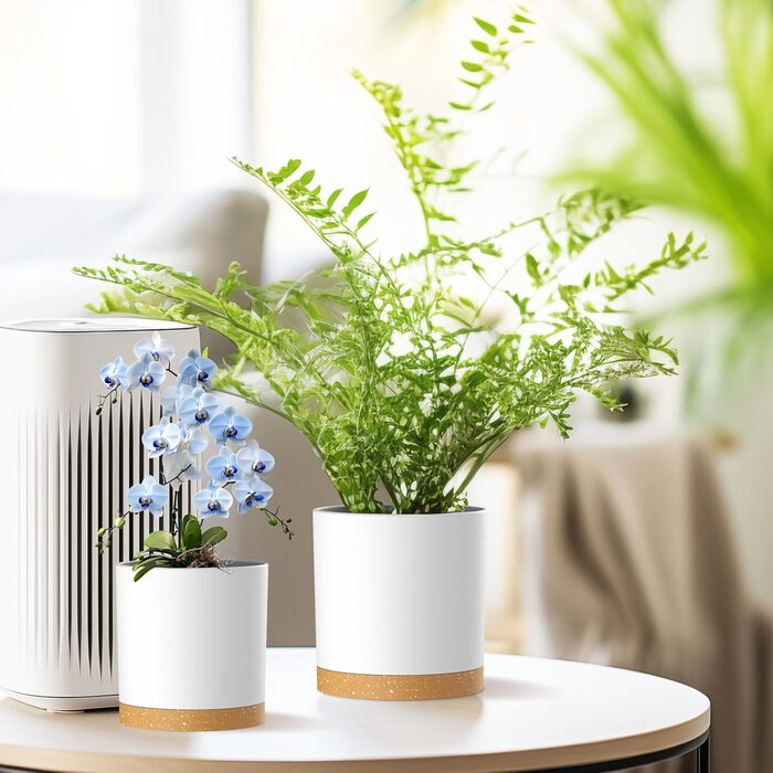 Набір горщиків для квітів з підставкою (5 шт.), 17.8/15.2/14/12.7/10.2 см, пластик, для дому та балкона, зелений з коричневим підставкою