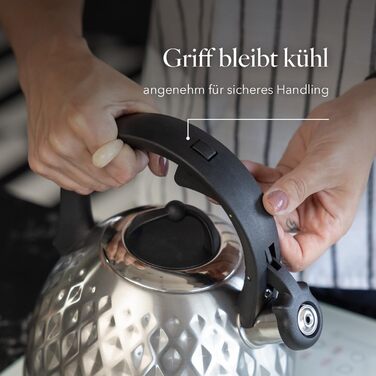 Чайник FLORINA Fenny Satin Induktion 2.5L з нержавіючої сталі, Cool-Touch, сучасний дизайн