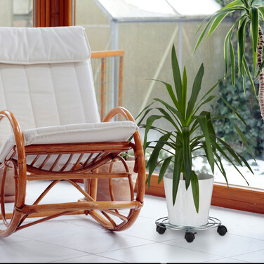 Relaxdays Plant Rollers Набір з 4 штук