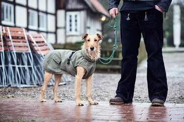 Модна собача шуба Хантер Упсала, Паркер, з бавовняною підкладкою, 55, хакі, хакі, 55