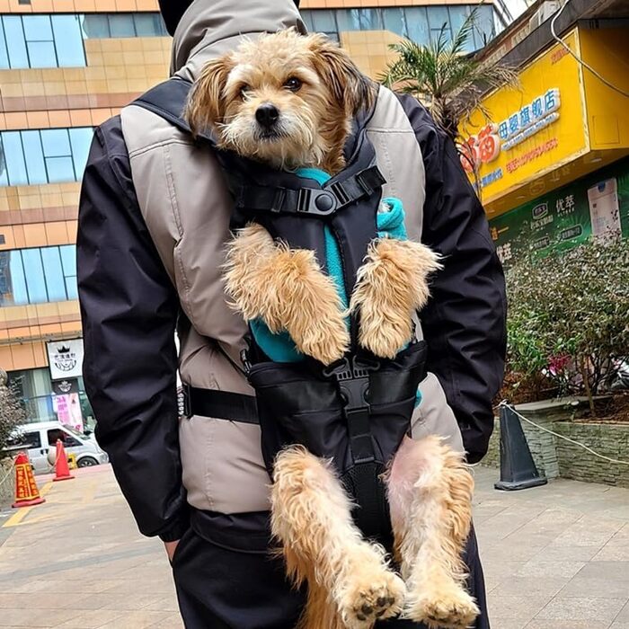 Рюкзак для собак, легкий рюкзак для домашніх тварин, регульовані ноги зовні рюкзаки для домашніх тварин портативна сумка для подорожей дихаюча і зручна для піших прогулянок кемпінгу подорожей (XL до 16 кг)