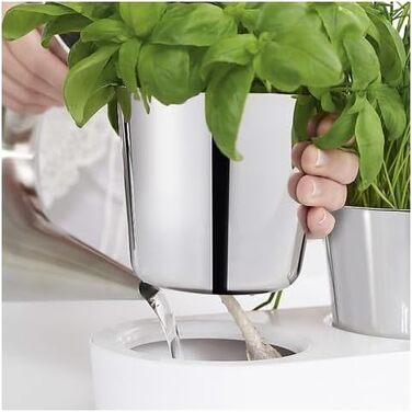 Набір горщиків для трав WMF Gourmet з системою поливу, 3 шт., для кухні, 36x12,5x12,5 см, білий, для свіжих трав