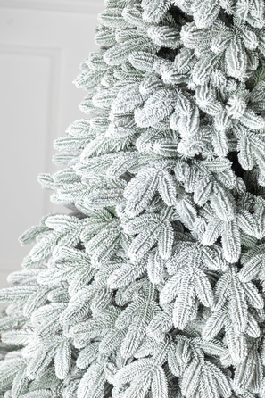 Ялинка лита 'Лапландська' ЗАСНІЖЕНА ПАРАСОЛЬКА 1,50м