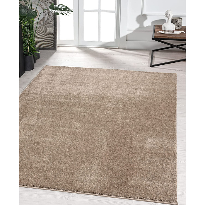 Елегантний дизайнерський килим для вітальні, м'який і не вимагає особливого догляду килим з коротким ворсом для вітальні (120 x 170 см, сіро-коричневий)