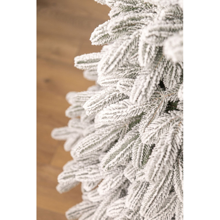 Ялинка лита 'Лапландська' ЗАСНІЖЕНА ПАРАСОЛЬКА 1,50м