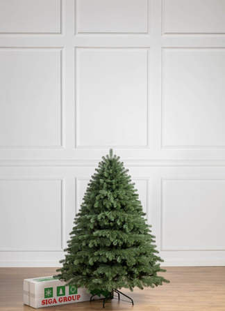 Ялинка лита 'Версальська' Зелена 1,80м