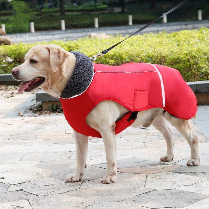 Світловідбиваючі пальто PENIVO для холодної погоди, регульована зимова водонепроникна Вулична куртка для собак, утеплена тепла куртка для собак, светр для маленьких і середніх собак (L,) (XL (комплект з 1), Синій)