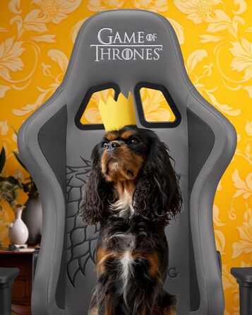 Ігровий крісло Game of Thrones: комфортний, регульований, ергономічний, з підголівником та підлокітниками - чорний