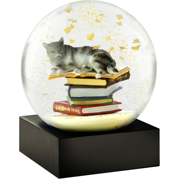 Кіт CoolSnowGlobes на купі книжок