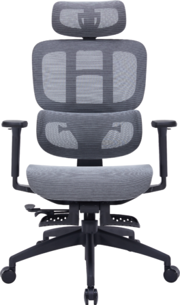 Крісло офісне OfficePro Skyline OC750-B-DG-DG