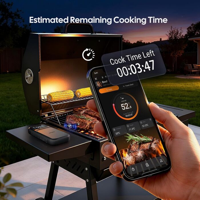 Термометр для м'яса INKBIRD INT-31-BW: бездротовий, Wi-Fi, Bluetooth, для приготування на грилі, в духовці, мангалі, фритюрниці