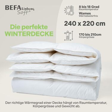Пухова ковдра BEFA SOFT Daunendecke Winter 100x135 см | 90% пух та 10% перо | Дихаюча та легка у догляді | Для алергіків (NOMITE) | Безпечна для тварин (DOWNPASS) | Oeko-TEX Клас 1 | Зроблено в Німеччині