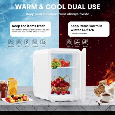 Mini холодильник Enventor 10L: тихий, з подвійним охолодженням, 12V/220V, для авто, кімнати, офісу (білий)