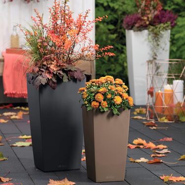 Lechuza Cubico Color 40 - Комплект для вирощування, сірий шифер, 39.5x39.5x75.5 см