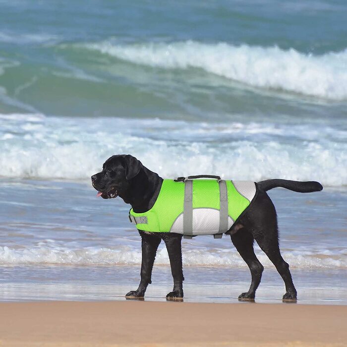 Рятувальний жилет CITTOILE для маленьких собак з ручкою і світловідбиваючим покриттям, рятувальний жилет для собак з регульованим розміром, рятувальний жилет для собак з високою плавучістю, більш дихаючий, легкий для водних видів спорту, зелений, XL XL зе