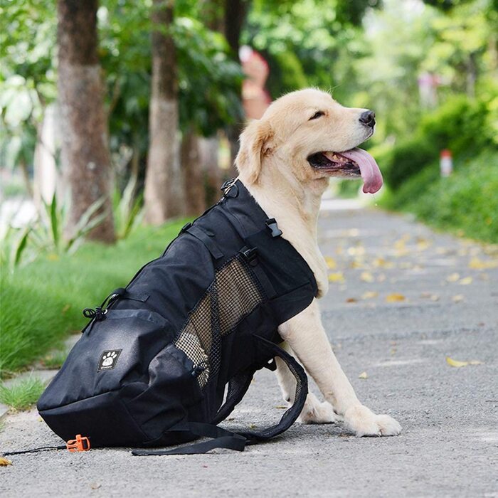 Рюкзак для собак Woolala Puppy Dog XL чорний