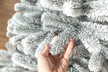 Ялинка лита 'Президентська' конусна ЗАСНІЖЕНА 1,80м