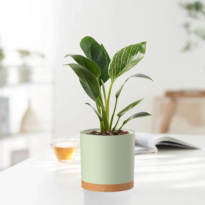 Набір горщиків для квітів 5 шт. з підставками, 17.8/15.2/14/12.7/10.2 см, пластикові, для гідропоніки, внутрішнього та балконного озеленення, зелені з коричневим піддоном