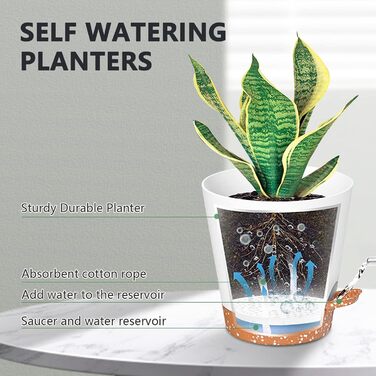 5 шт. пластикові горщики для квітів з системою поливу, 17.8/16.5/15.2/13.9/12.7 см. Самополивні кашпо з підставкою, круглі горщики для квітів, сукулентів, кактусів, кімнатних рослин, балкона та саду, зелені (білий, коричневий)