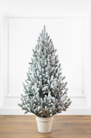 Ялинка лита 'Віденська' в горщику ЗАСНІЖЕНА 1,10м